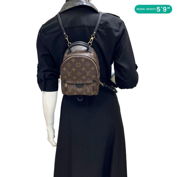 LOUIS VUITTON  Palm Spring Mini Monogram Canvas Backpack Brown - Picture 2 of 11